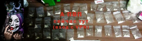 стаф Абаза